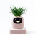 Ai Flower Pot [ IVY ]- 4 Available Colors